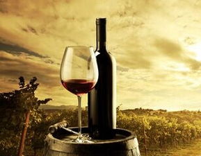 格拉夫干紅 創(chuàng)業(yè)優(yōu)勢(shì)多